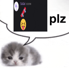a cat is laying next to a speech bubble that says " plz "
