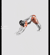 a video of a man doing push ups with the words 5x30 5min / day
