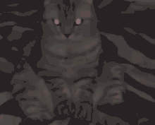 Dark Cat GIF - Dark Cat Mad GIFs