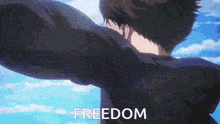 Attack On Titan Freedom GIF - Attack On Titan Freedom Eren Yeager GIFs