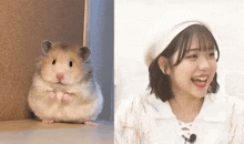 Ch0ngyu Tsuzumi Excited GIF - Ch0ngyu Tsuzumi Excited Tsuzumi Hamster GIFs