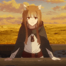 Holo Spice And Wolf GIF - Holo Spice And Wolf Ookami To Koushinryou GIFs