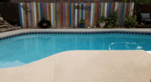 Swimming Swimming Pool GIF - Swimming Swimming Pool Summer GIFs