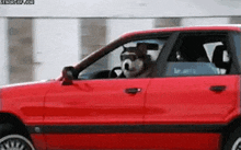 Dog Car GIF - Dog Car Shades GIFs