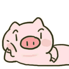 wechat pig raised eyebrow watching you moving brows