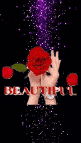 a woman 's hand is holding a red rose in front of a purple background with the word beautiful .