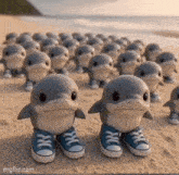 a group of dolphins wearing blue sneakers on the beach