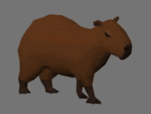 Capybara Stand GIF - Capybara Stand Idle GIFs