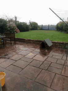 rainy backyard wet