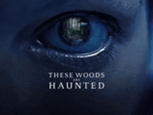 a close up of a person 's eye with the words `` these woods are haunted '' written below it .