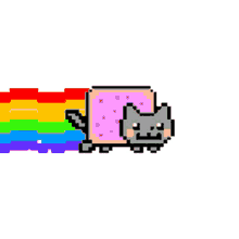 rainbow walking