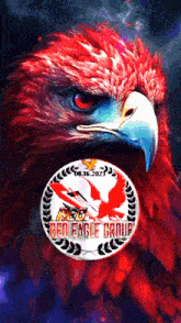 a picture of a red eagle with the words red eagle group