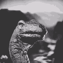 Grrrr Dinosaur GIF