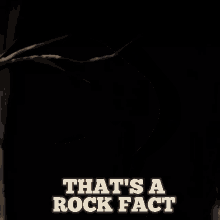 Thats A Rock Fact Over The Garden Wall GIF - Thats A Rock Fact Rock Fact Over The Garden Wall GIFs