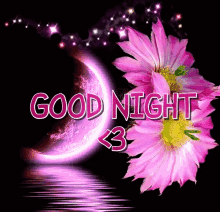 Good Night Pink GIF - Good Night Pink Moon GIFs