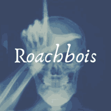 Roach Bois GIF - Roach Bois Happy GIFs