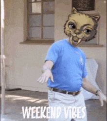 a man in a blue shirt has a cat mask on his head and the words weekend vibes are below him