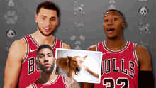 Denzel Valentine Sticker by Chicago Bulls for iOS & Android