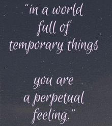 in a world full of temporary things you are a perpetual feeling "