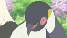 Penguin Shirokuma Cafe GIF