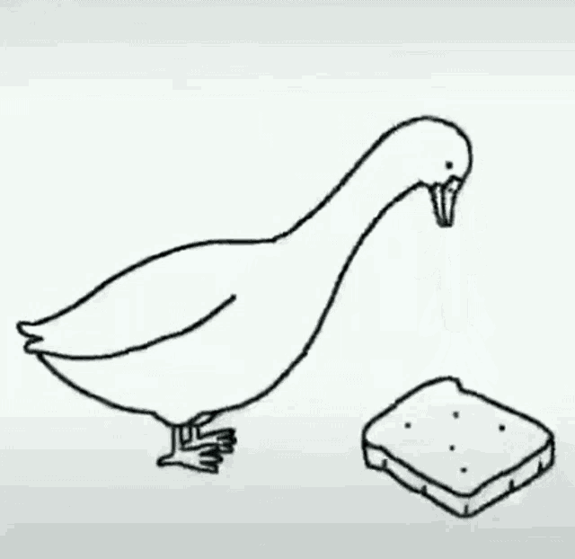 Duck Eating GIF - Duck Eating Eat - Discover & Share GIFs