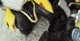 a close up of a robot 's feet with a key on it
