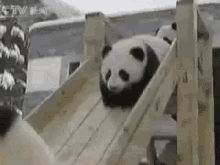 Panda Slide GIF - Panda Slide GIFs