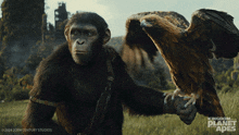 Hm Noa GIF - Hm Noa Kingdom Of The Planet Of The Apes GIFs