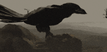 Intro Raven GIF - Intro Raven Dark GIFs