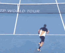 Filip Krajinovic Passing Shot GIF - Filip Krajinovic Passing Shot Tennis GIFs