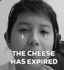 The Cheese Has Expired GIF - The Cheese Has Expired GIFs