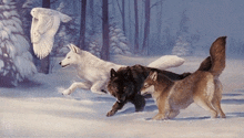 a painting of wolves and an owl with nb written on the bottom