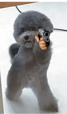 Dog Gun GIF - Dog Gun GIFs