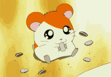 Nuts Hamster GIF - Nuts Hamster Cute GIFs