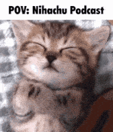 Nihachu Podcast GIF - Nihachu Podcast GIFs