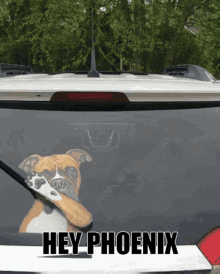 Hey Phoenix GIF - Hey Phoenix Hey Phoenix GIFs