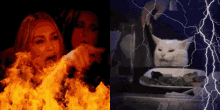 Woman Yelling At Cat Heaven And Hell GIF - Woman Yelling At Cat Heaven And Hell Smudge GIFs