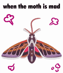 When The Moth Is Mad Moth Upset GIF - When The Moth Is Mad Moth Upset Moth Mad GIFs