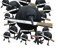 Crow With Knife Sticker - Crow With Knife Stickers