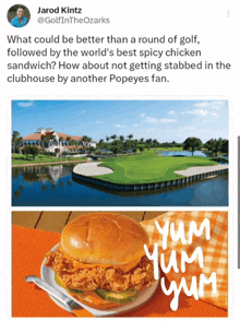 Popeyes Chicken Sandwich GIF - Popeyes Chicken Sandwich Golf GIFs