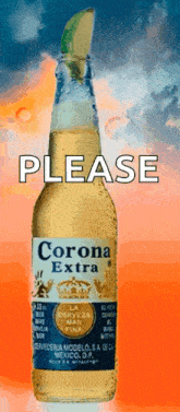 Beer Alcohol GIF