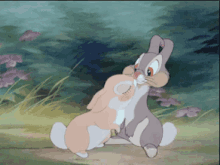 A GIF - Cartoons Kiss Bunnies GIFs