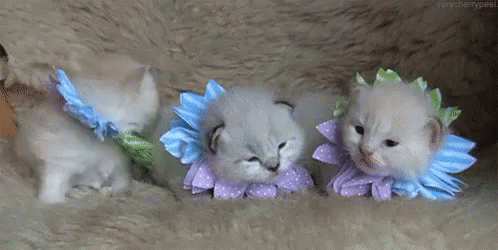 Spring Time Cute GIF - Spring Time Cute Baby - Discover & Share GIFs