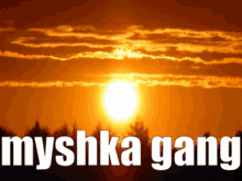 Myshka Gang GIF