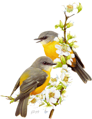 Birds Nature Sticker - Birds Nature Spring Stickers