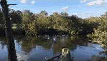 Nature River GIF - Nature River GIFs