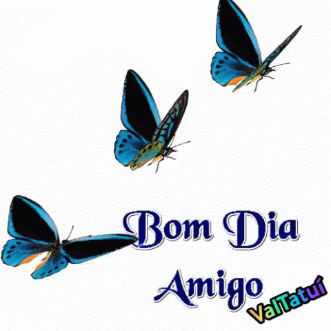 Bom Dia Amigo Valtatui Good Morning GIF - Bom Dia Amigo Valtatui Bom Dia  Amigo Good Morning - Discover & Share GIFs