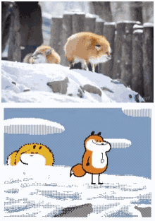 Fox Fluffy GIF
