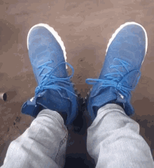 a person wearing a pair of blue sneakers with white laces