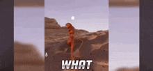 a screenshot of a video game with the words what on it